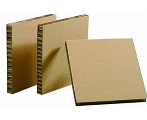 蜂窝纸板 (2)